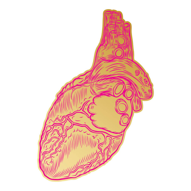 Golden Human heart in hand drawn style.  - Vektori, kuva