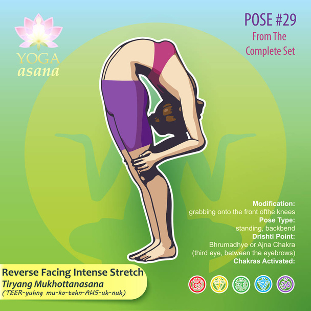 Yoga 29 Tiryang Mukhottanasana - Vecteur, image
