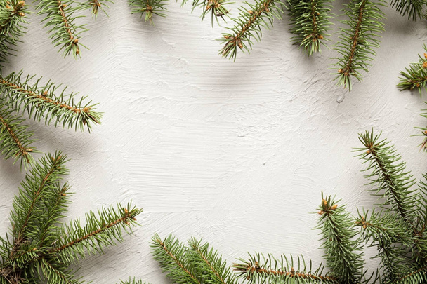 Spruce tree on white uneven surface - Foto, Imagen
