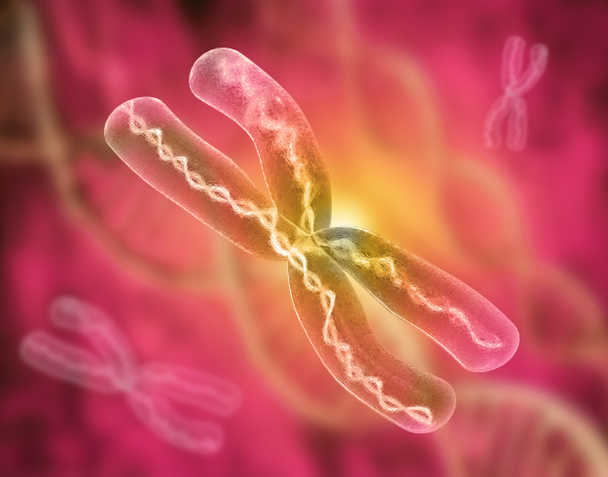 X chromosomes - 3d rendering - Photo, Image