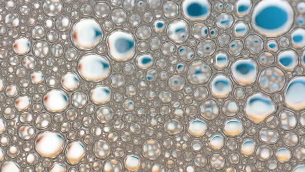 Burbuja de espuma de lavado de jabón o champú - Metraje, vídeo
