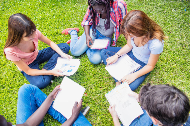 Monietninen ryhmä teini istuu nurmikolla käyttäen notebo
 - Valokuva, kuva