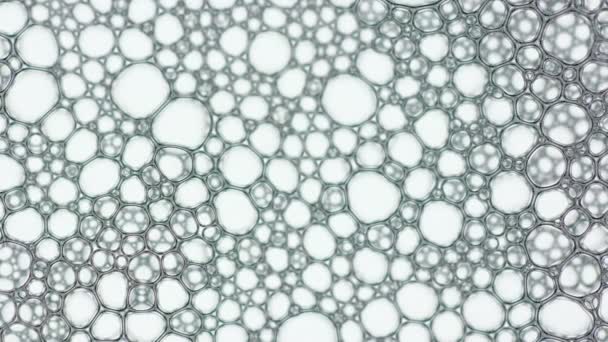 Burbuja de espuma de lavado de jabón o champú - Imágenes, Vídeo