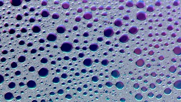 Foam Bubble from Soap or Shampoo Washing - Photo, Image