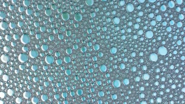 Burbuja de espuma de lavado de jabón o champú - Metraje, vídeo