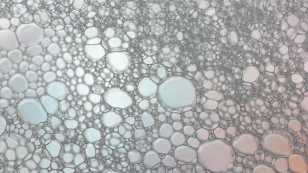 Foam Bubble from Soap or Shampoo Washing - Footage, Video