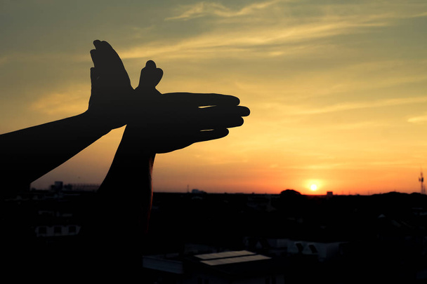 silhouette of a hand gesture like bird flying on a background sunset - 写真・画像