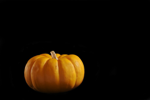 Pumpkin - Valokuva, kuva