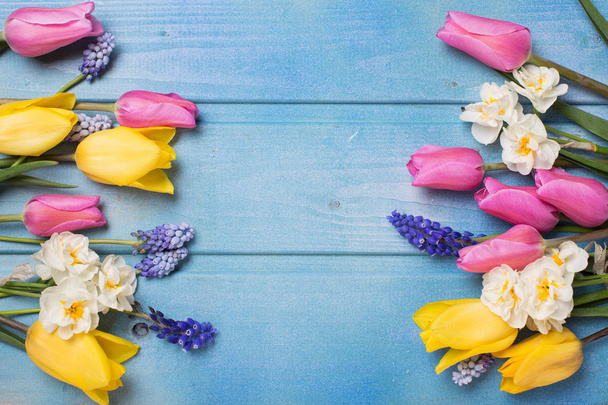 Border of pink, yellow tulips and white daffodils on blue wooden background - Foto, imagen