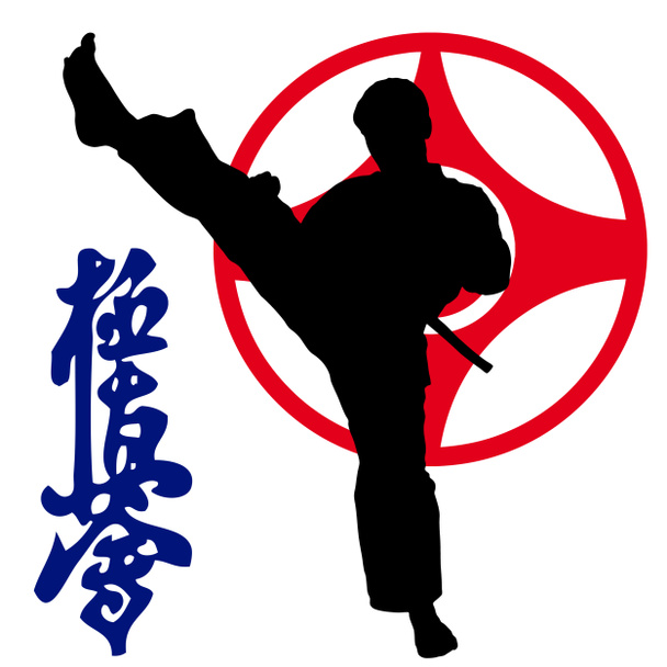 harcművészetek - karate kyokushinkai - Fotó, kép