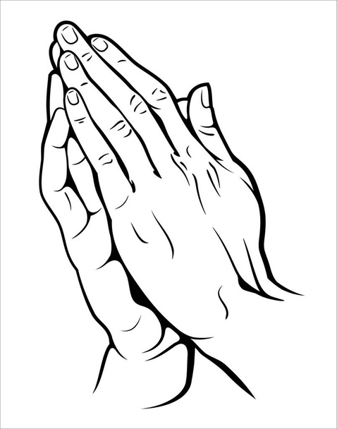 Manos humanas plegadas en oración
 - Vector, Imagen