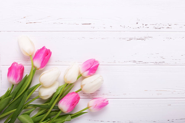 Bright pink and white tulips flowers  on rustic  white  wooden background. Selective focus. Place for text.  - Foto, imagen