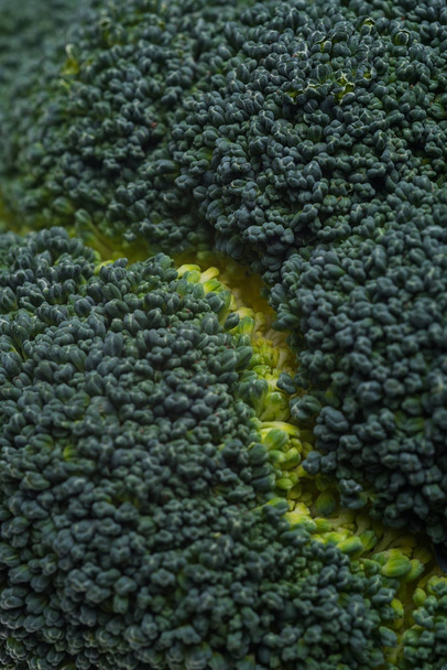 Close up of fresh broccoli isolated over white - Foto, immagini
