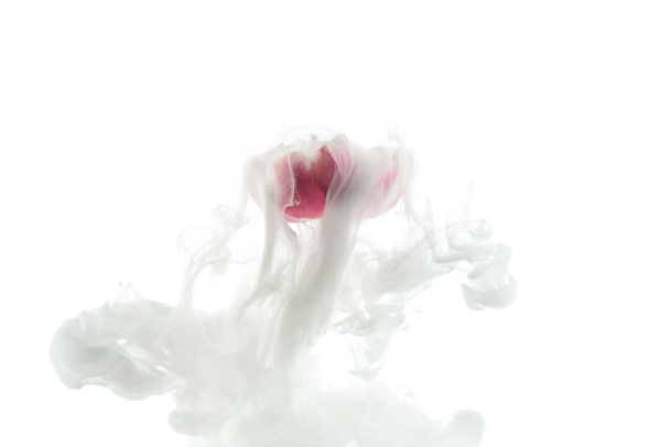 Close-up van roze bloem en witte verf splash geïsoleerd op wit - Foto, afbeelding