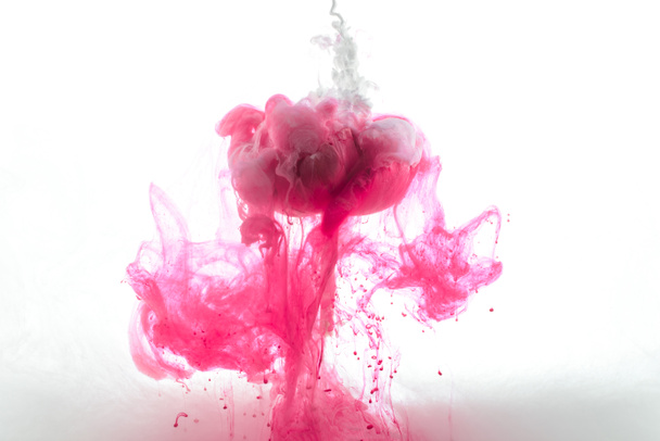 close up view of pink flower and ink splashes isolated on white - Foto, Bild