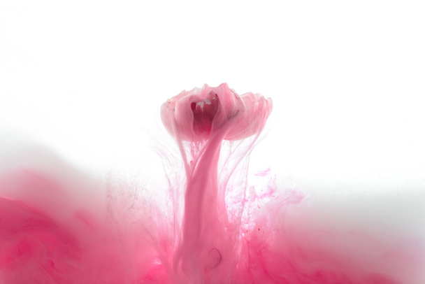 Nahaufnahme von rosa Blume und Tintenspritzer isoliert auf weiß - Foto, Bild