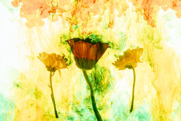 vue rapprochée des fleurs et des éclaboussures de peinture jaune
 - Photo, image