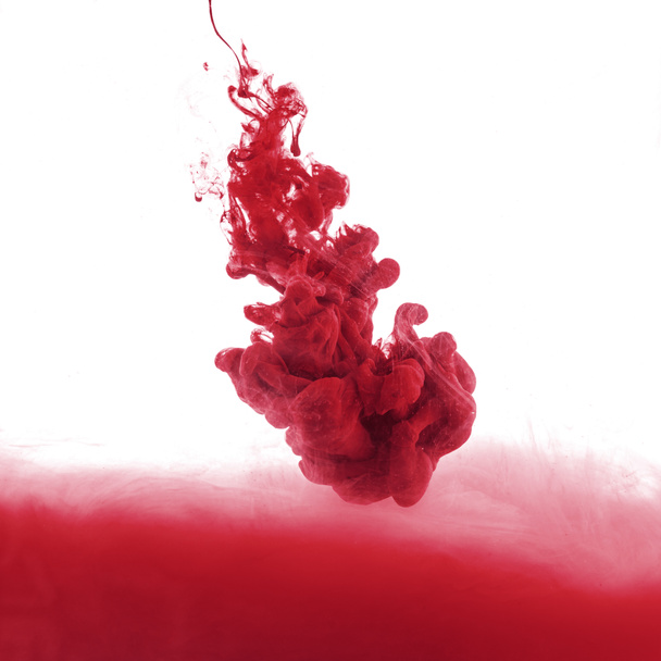 close up view of red paint splash in water, isolated on white - Φωτογραφία, εικόνα