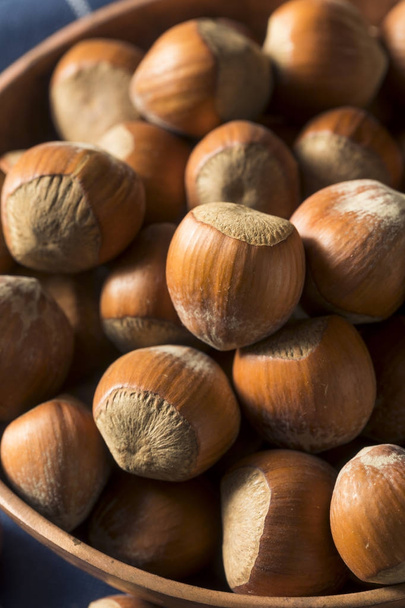 Raw Brown Organic Shelled Hazelnut Filberts - Valokuva, kuva