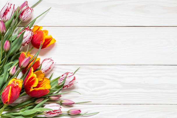 Image with tulips - Фото, изображение