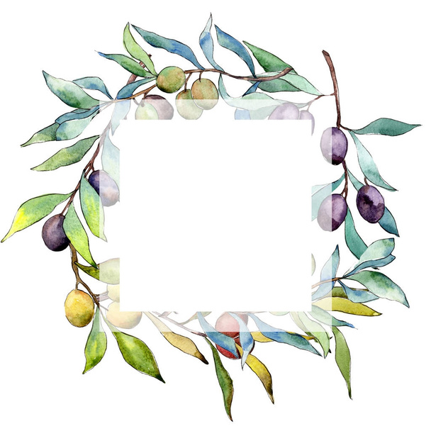 Olive tree frame in a watercolor style. - Photo, Image