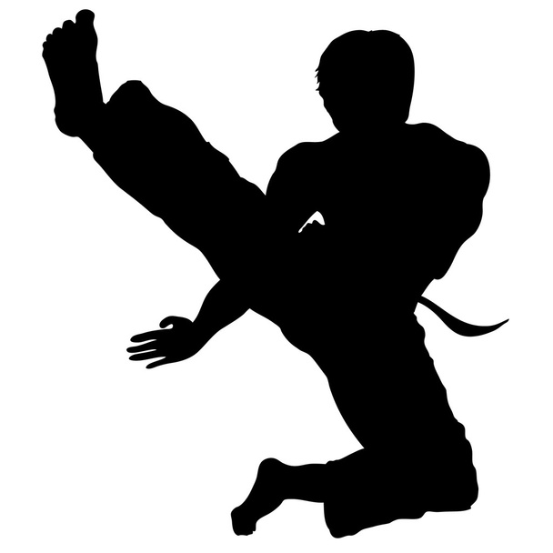 savaş sanatı - karate atlama tekme vektör - Vektör, Görsel
