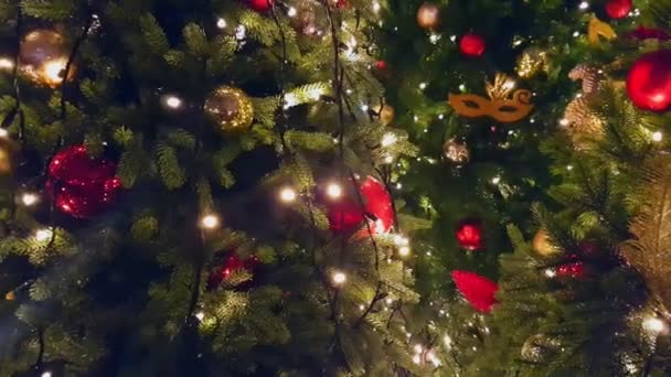 Χριστουγεννιάτικο δέντρο στην υπαίθρια αγορά - Πλάνα, βίντεο