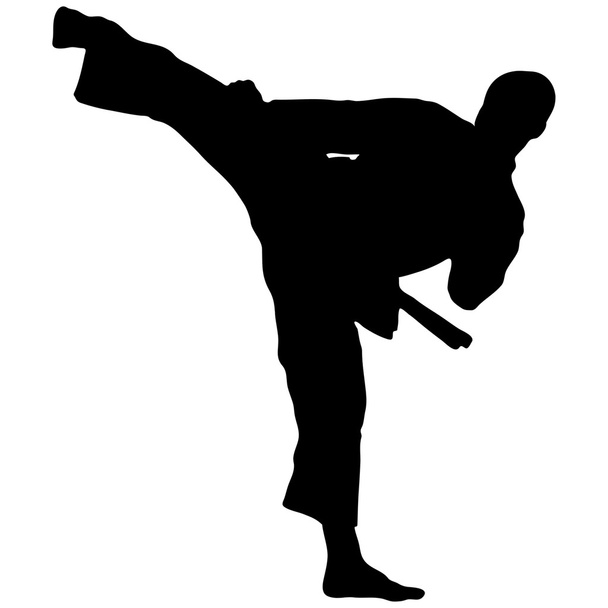 sztuki walki - karate mężczyzn siluet wektor - Wektor, obraz