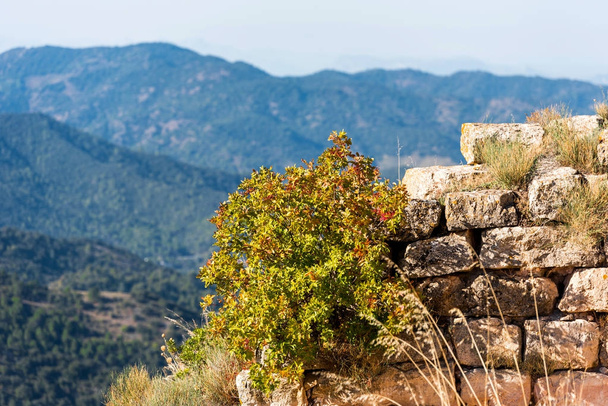 View of the ruins of the castle of Siuran, Tarragona, Catalunya, Spain. Close-up. - Фото, зображення