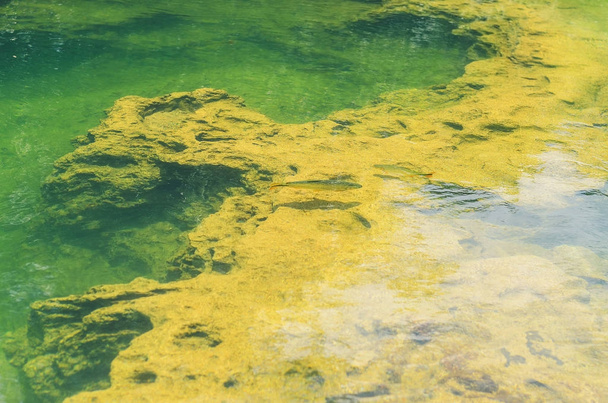 Kaya oluşumları ile şeffaf yeşil bir nehir  - Fotoğraf, Görsel