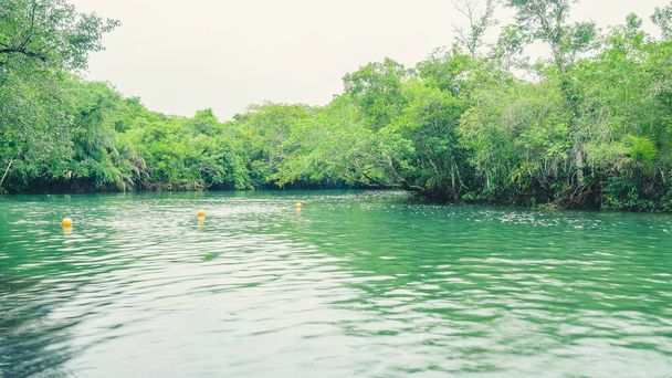 Landschap van groen water en bos rond Formoso rivier in Boni - Foto, afbeelding