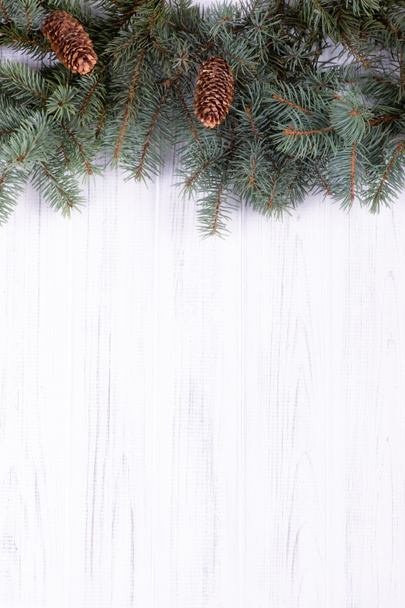 Christmas  fir-tree branch  on a wooden wall and copy space - Foto, afbeelding