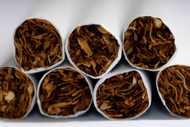 Tabaco - Foto, Imagem