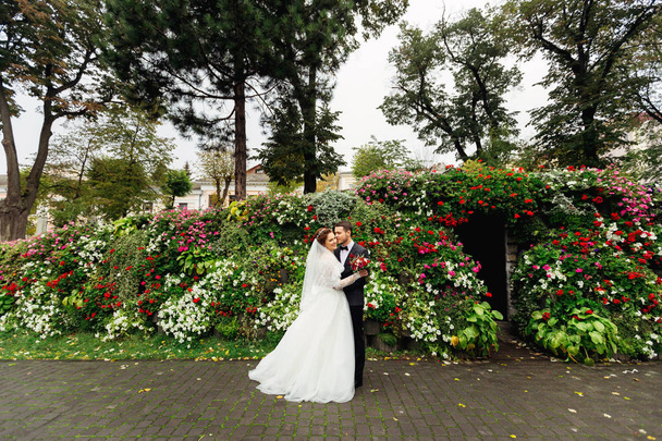 Nowożeńcy pozowanie w parku wokół nich piękny kwietnik - Zdjęcie, obraz