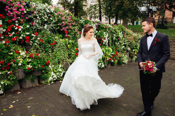 vistas apasionadas entre la novia y el novio en un hermoso parque
 - Foto, imagen