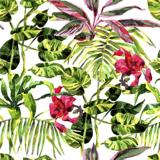 Тропічний фон. акварельні тропічні листя і рослини. ручна розфарбована зелень джунглів фон
 - Фото, зображення