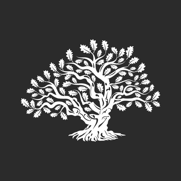 Huge and sacred oak tree silhouette logo badge isolated on dark background - Vektor, Bild