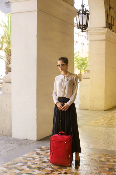 Elegant woman with a baggage - Photo, image