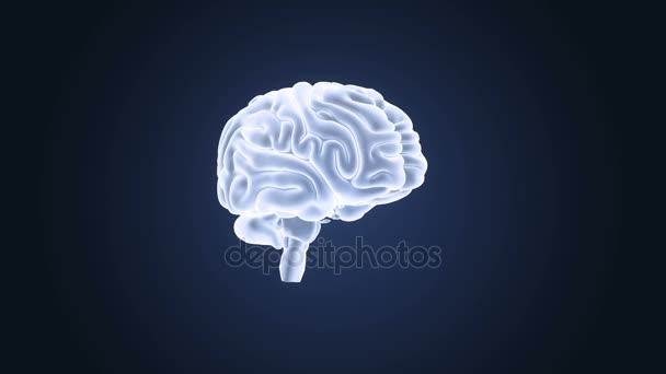 Menselijk brein systeem weergave 3d illustratie op donkere achtergrond - Video