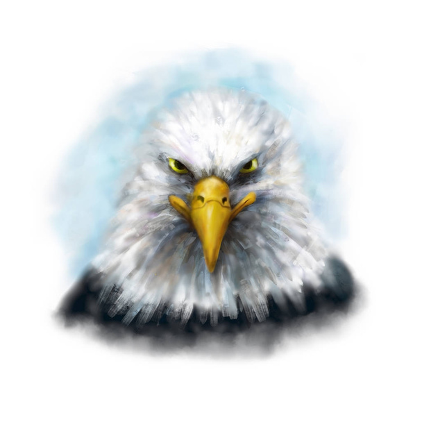 Digital color sketch eagle head - Photo, Image