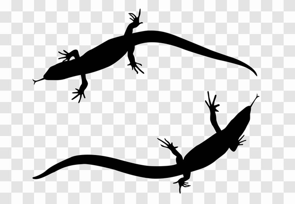 Sticker on car of reptile: Silhouette of lizard. Vector Illustra - Vector, Image