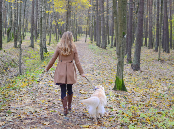 Mujer joven y bonita en el parque de otoño paseando con su perro, golden retriever
 - Foto, Imagen