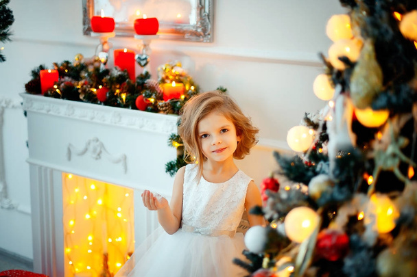 Girl with Christmas decoration - Foto, Imagem