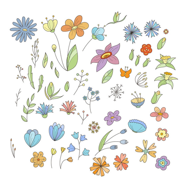 Colección Doodle con varias flores de garabato, hojas y ramas
. - Vector, imagen