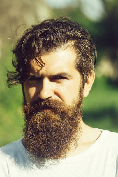 handsome bearded man sunny outdoor - Fotoğraf, Görsel