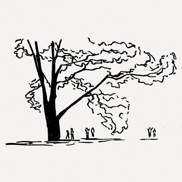 Bäume und Sträucher im Naturpark. - Vektor, Bild