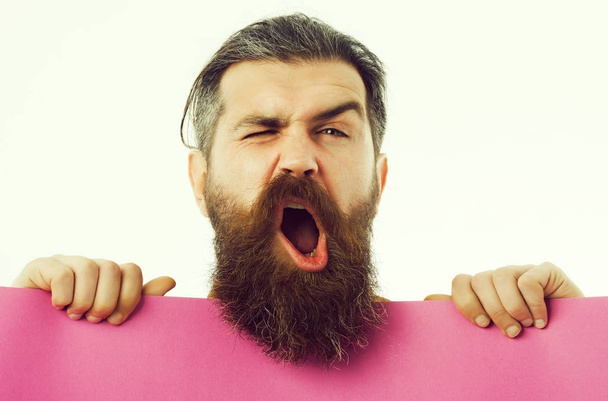 yawning bearded man hipster with violet paper isolated on white - Fotó, kép