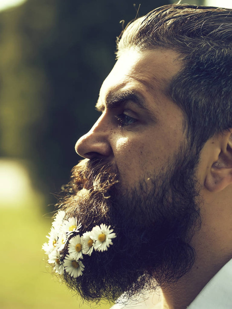 Handsome man with flowers in beard - Fotografie, Obrázek