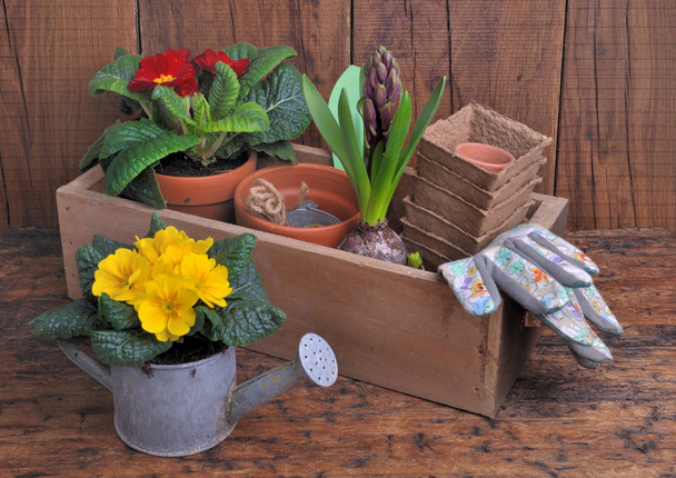 springtime floral and gardening accessories - Foto, Imagen