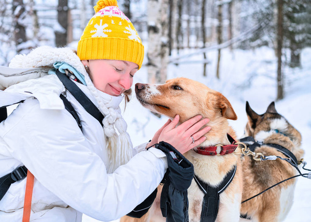 Κορίτσι και γεροδεμένο σκυλί στη φινλανδική Λαπωνία χειμώνα φινλανδικό δάσος  - Φωτογραφία, εικόνα